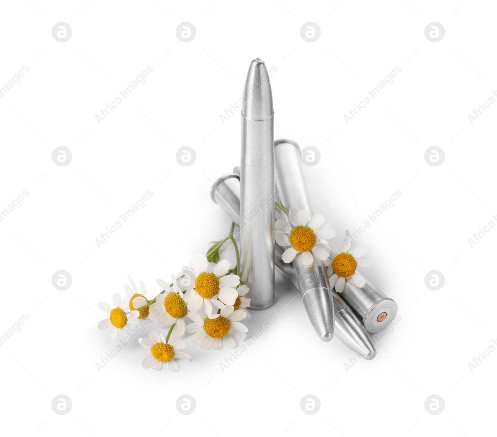 Photo of Metal bullets and beautiful flowers isolated on white