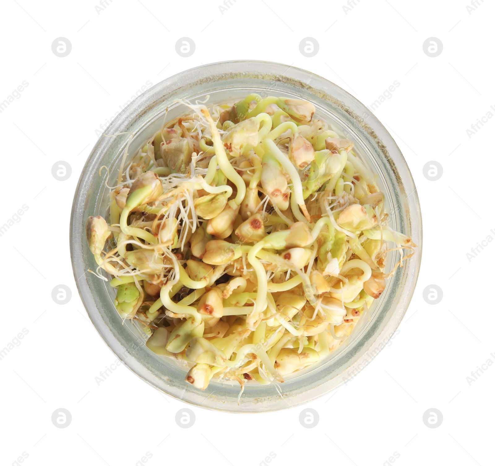 Photo of Jar of sprouted green buckwheat isolated on white, top view