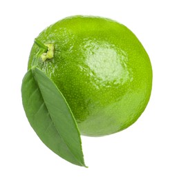 Fresh green ripe lime with leaf isolated on white