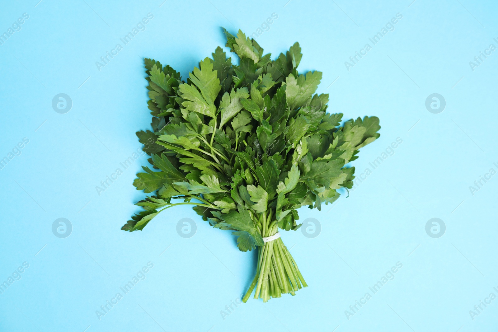 Photo of Bunch of fresh green parsley on color background, view from above