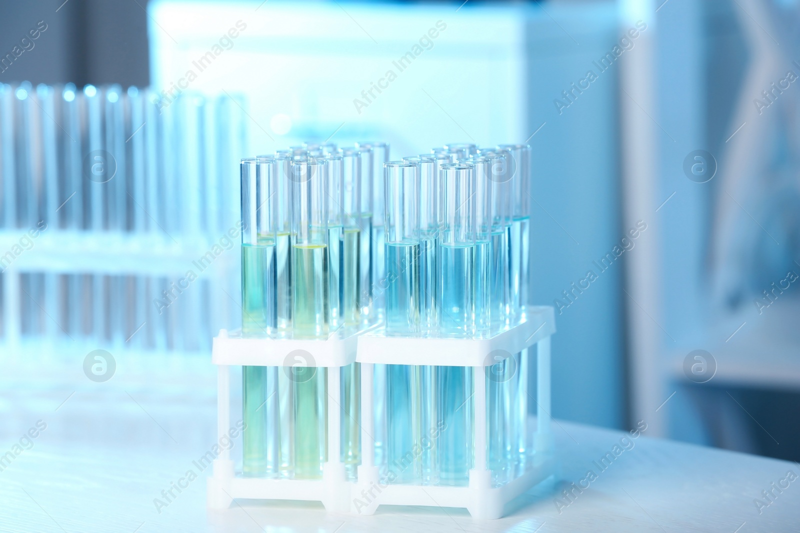 Photo of Holder with test tubes on table in laboratory. Chemical analysis