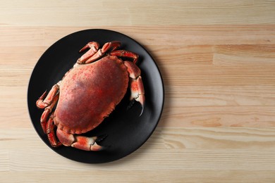 Photo of Delicious boiled crab on wooden table, top view. Space for text