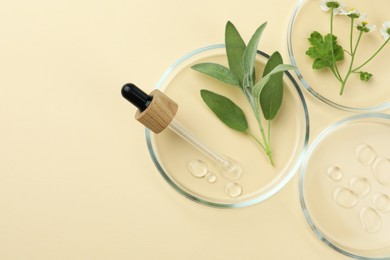 Flat lay composition with Petri dishes and plants on beige background. Space for text