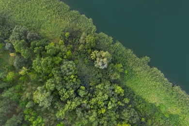 Image of Beautiful aerial view of green forest near river in autumn