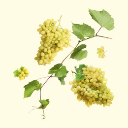 Fresh grapes and vine in air on light green background