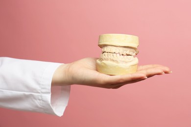 Photo of Doctor holding dental model with jaws on pink background, closeup. Cast of teeth