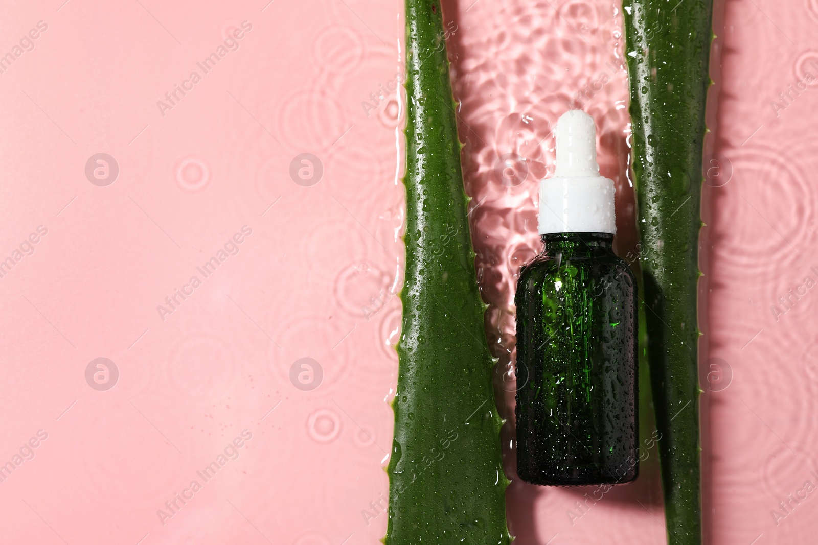 Photo of Bottle of cosmetic product and aloe leaves in water on pink background, flat lay. Space for text