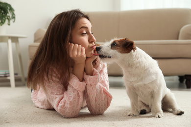 Young woman with her cute Jack Russell Terrier at home. Lovely pet