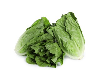 Photo of Fresh green romaine lettuces isolated on white