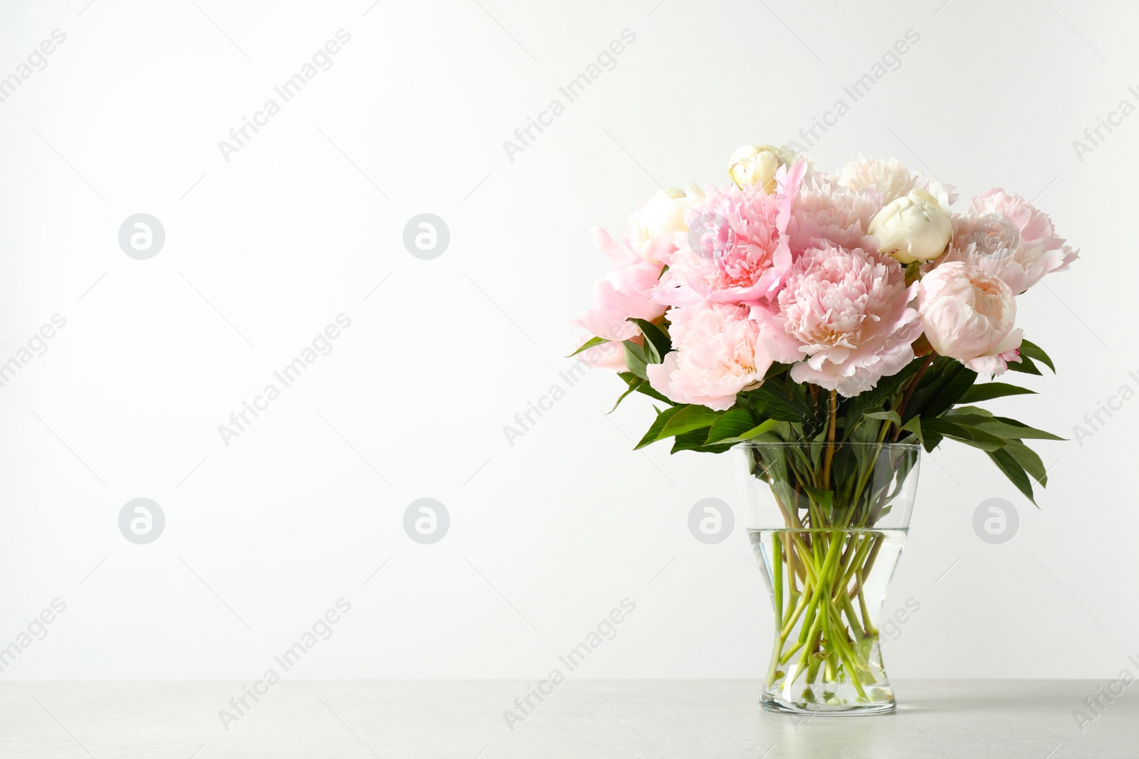 Photo of Beautiful peony bouquet in vase on table against white background. Space for text