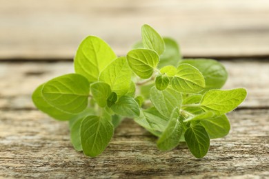 Photo of Sprigs of fresh green oregano on wooden table, closeup