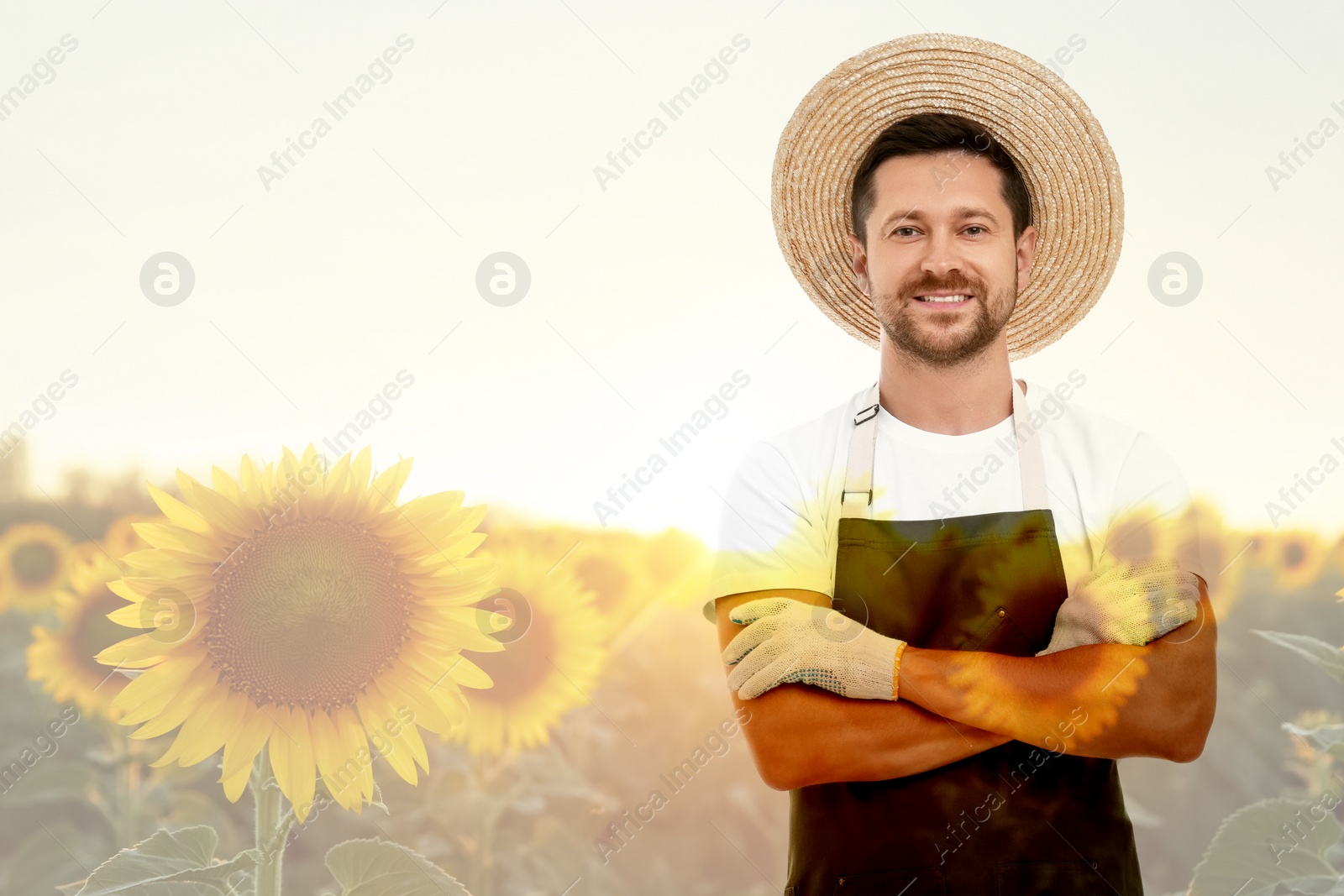 Image of Double exposure of happy farmer and sunflower field. Space for text