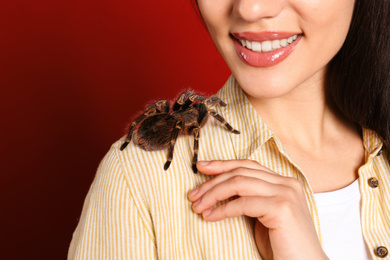 Photo of Woman with striped knee tarantula on red background, closeup. Exotic pet