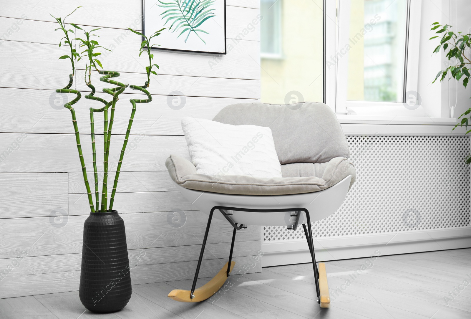 Photo of Vase with green bamboo stems and stylish rocking chair in room. Interior design