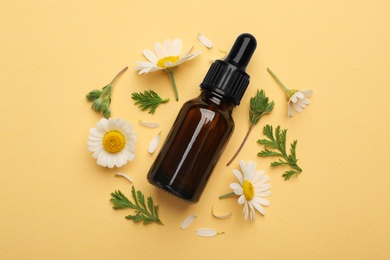 Photo of Flat lay composition with chamomile flowers and cosmetic bottle of essential oil on color background