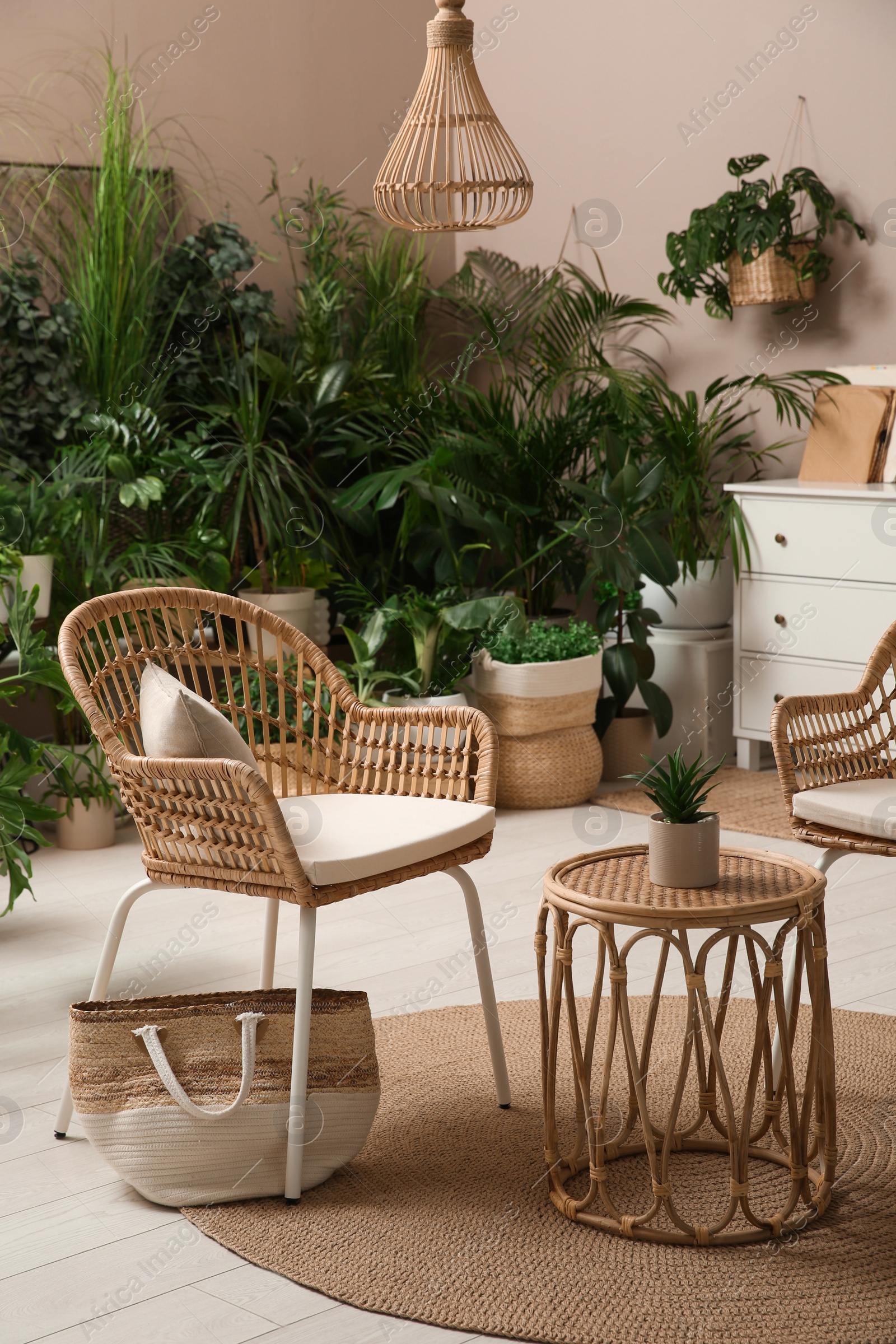 Photo of Room interior with stylish furniture and different houseplants