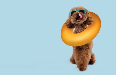 Image of Cute Maltipoo dog with stylish sunglasses and swim ring on light blue background. Space for text