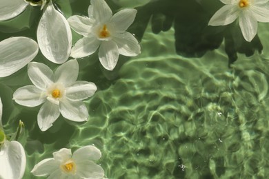 Photo of Beautiful flowers in water on green background, top view. Space for text