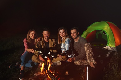 Friends frying marshmallows on bonfire at night. Camping season