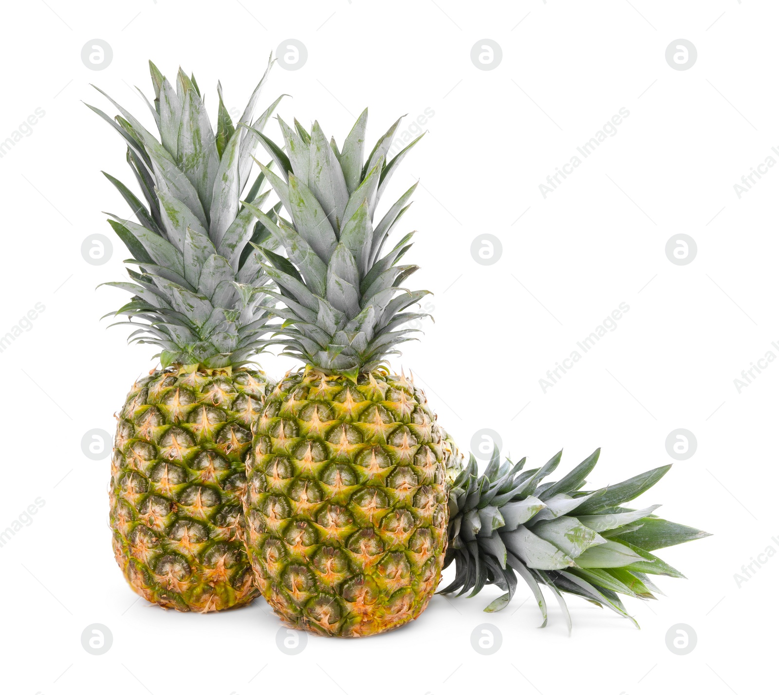 Photo of Two delicious ripe pineapples isolated on white