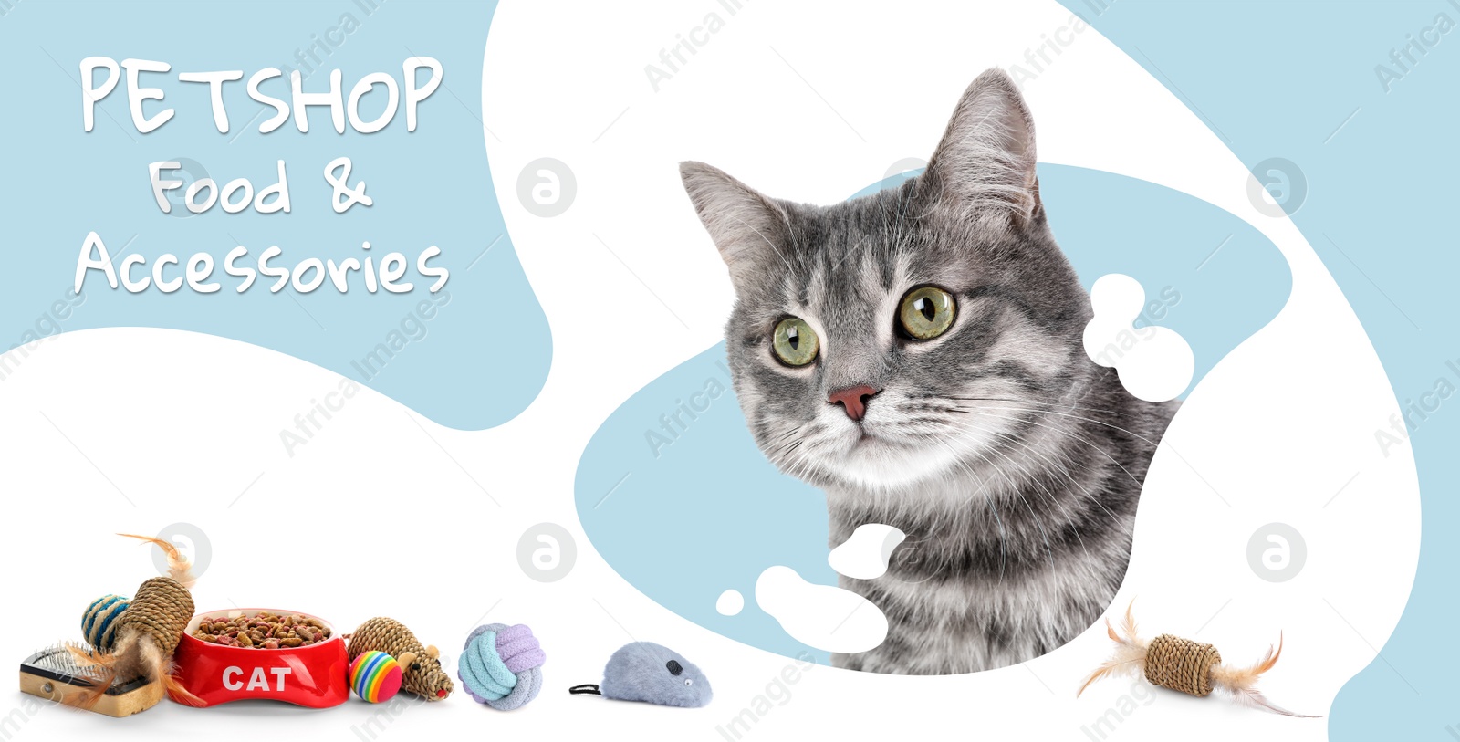 Image of Advertising banner design for pet shop. Cute cat and different accessories on color background