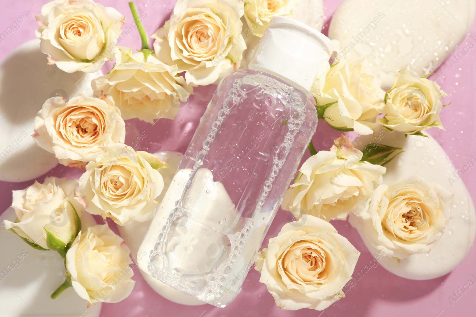 Photo of Wet bottle of micellar water, beautiful white roses and spa stones on pink background, flat lay