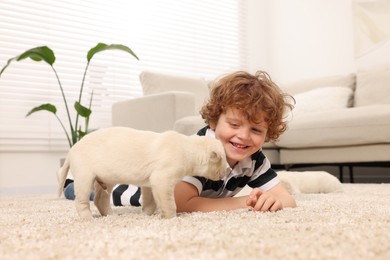 Photo of Little boy with cute puppies on beige carpet at home