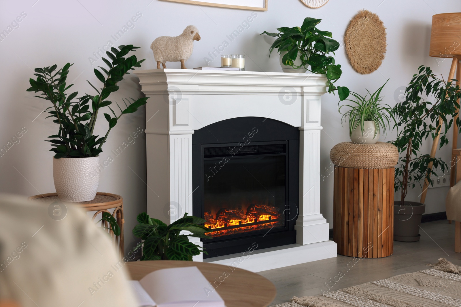 Photo of Beautiful living room interior with fireplace and green houseplants