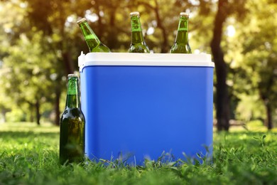 Photo of Blue plastic cool box with bottles of beer in park