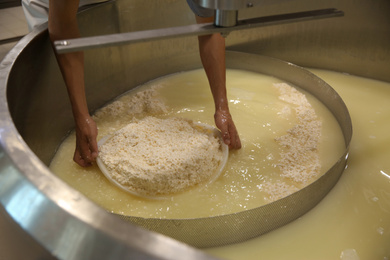 Photo of Worker taking curd from tank at cheese factory, closeup