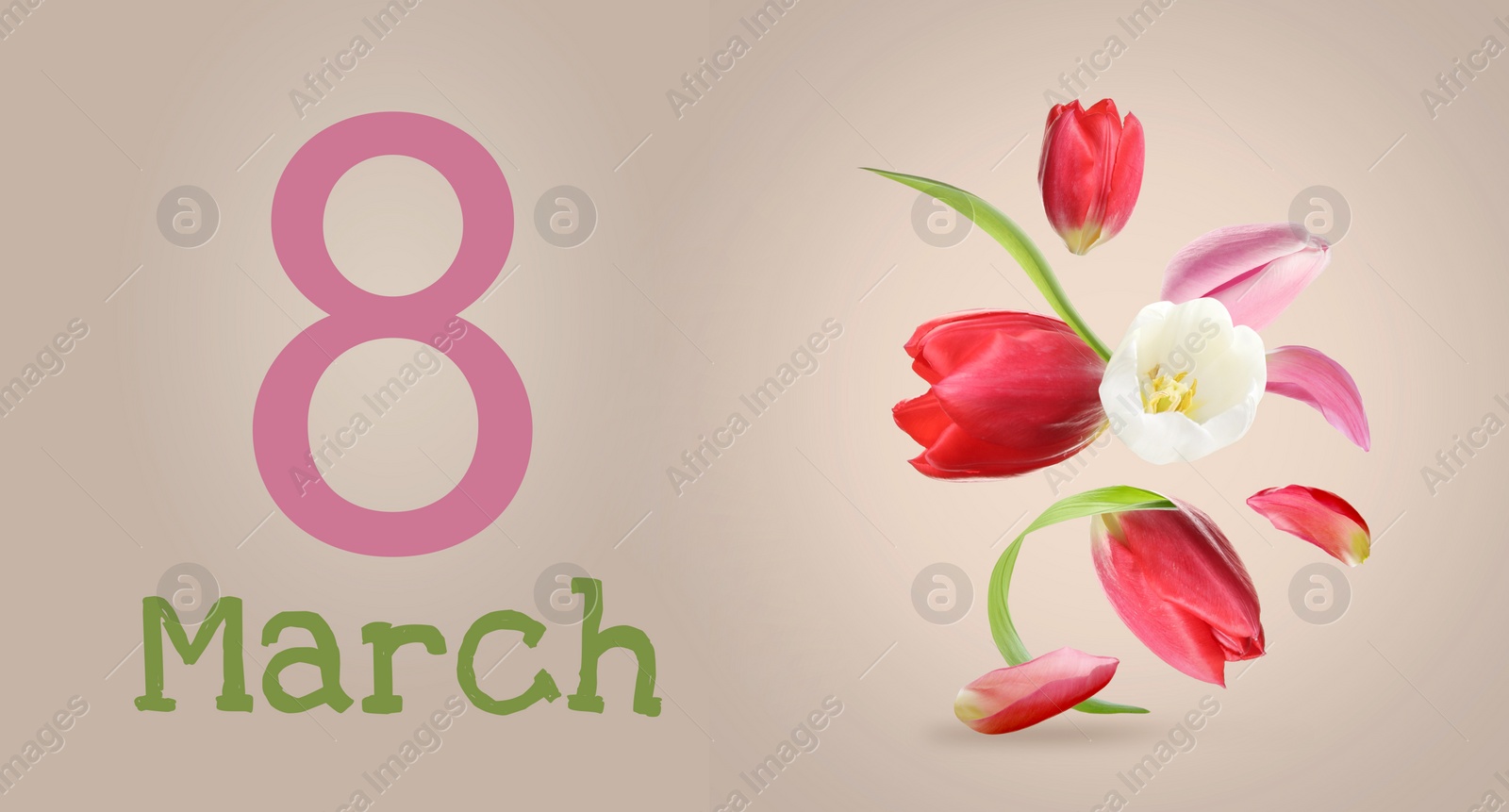 Image of March 8 - International Women's Day. Greeting card design with beautiful flowers on dark beige background