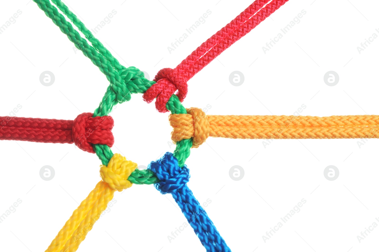 Photo of Colorful ropes tied together isolated on white. Unity concept