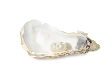 Photo of Oyster shell with pearls on white background