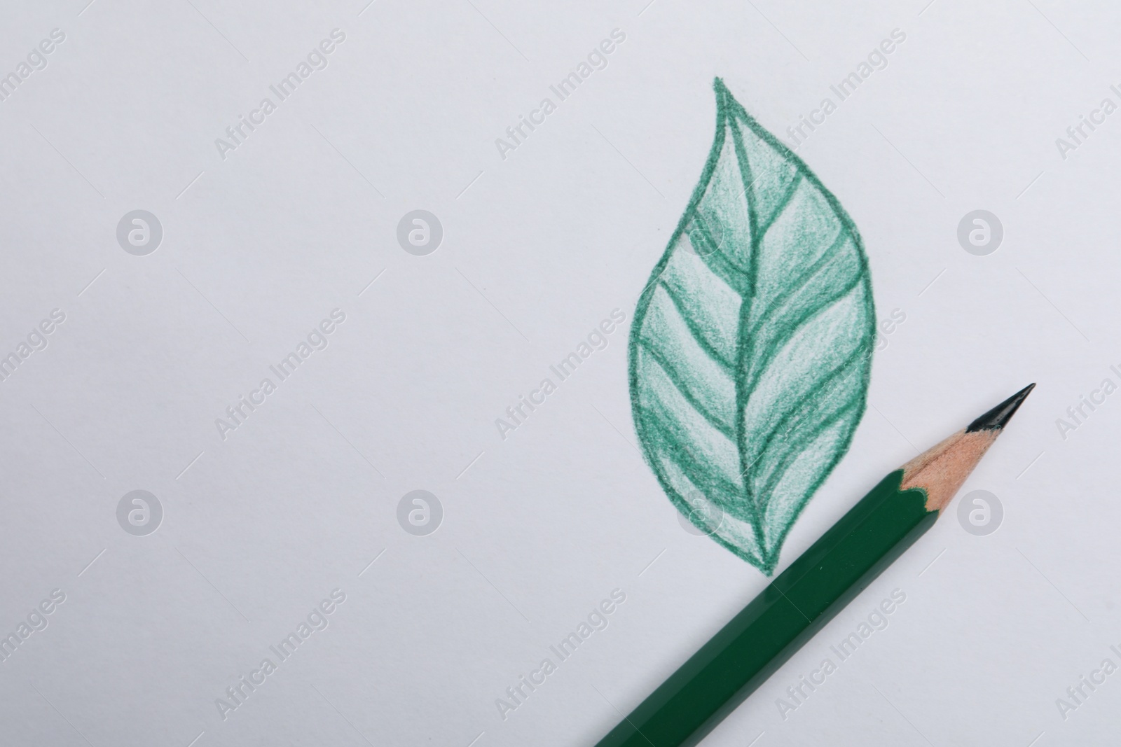 Photo of Drawing of green leaf and color pencil on white background, top view