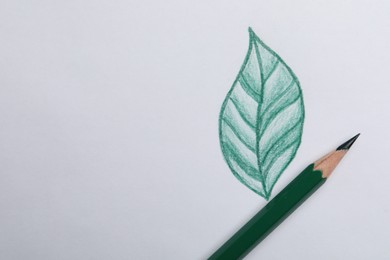 Photo of Drawing of green leaf and color pencil on white background, top view