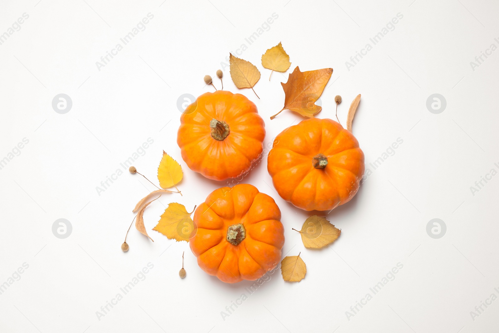 Photo of Composition with pumpkins and autumn leaves on white background, top view