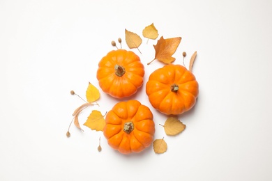 Photo of Composition with pumpkins and autumn leaves on white background, top view