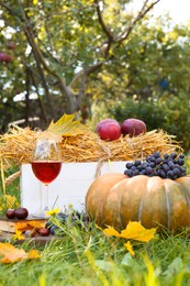 Photo of Glass of wine, book, pumpkin and grapes on green grass in park. Autumn picnic