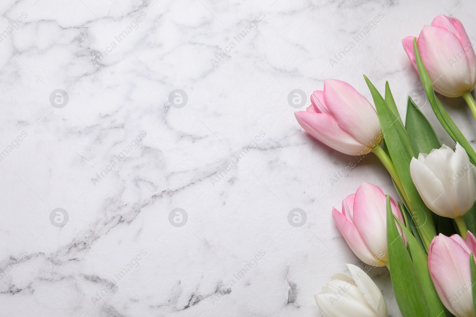 Photo of Beautiful tulips  on white marble table, flat lay. Space for text