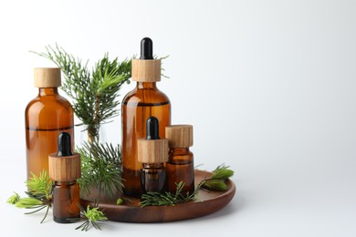 Photo of Aromatherapy. Different essential oils and fir twigs on white background, space for text