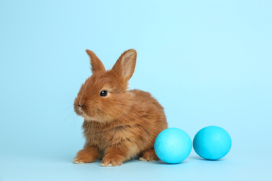 Adorable fluffy bunny near Easter eggs on light blue background