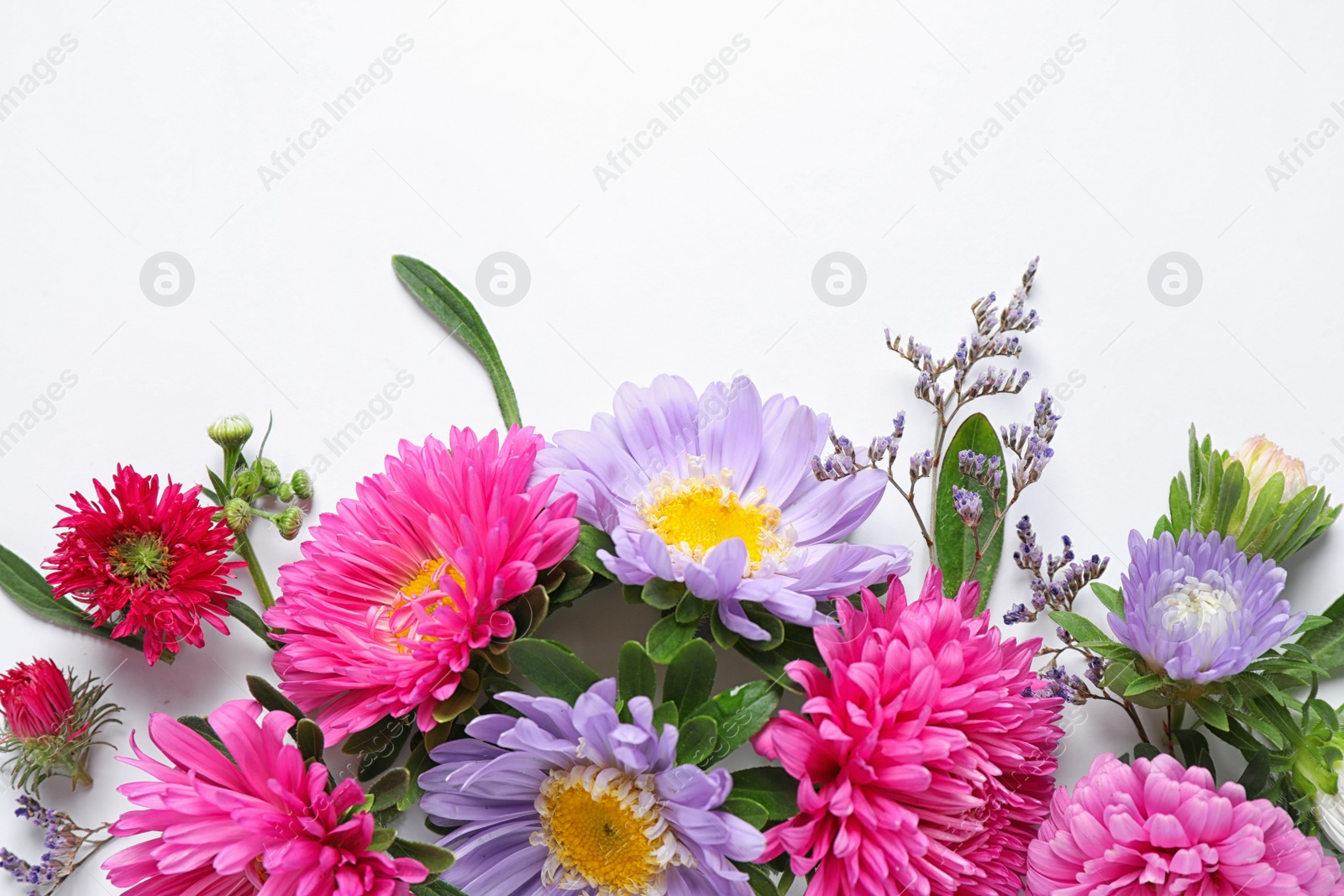 Photo of Composition with beautiful aster flowers on white background, top view