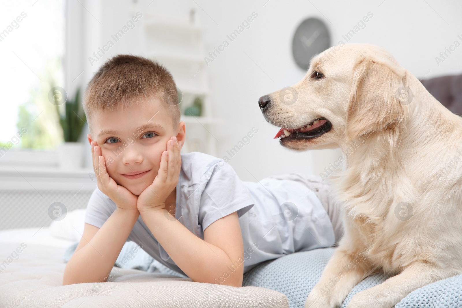 Photo of Cute little child with his pet on bed at home