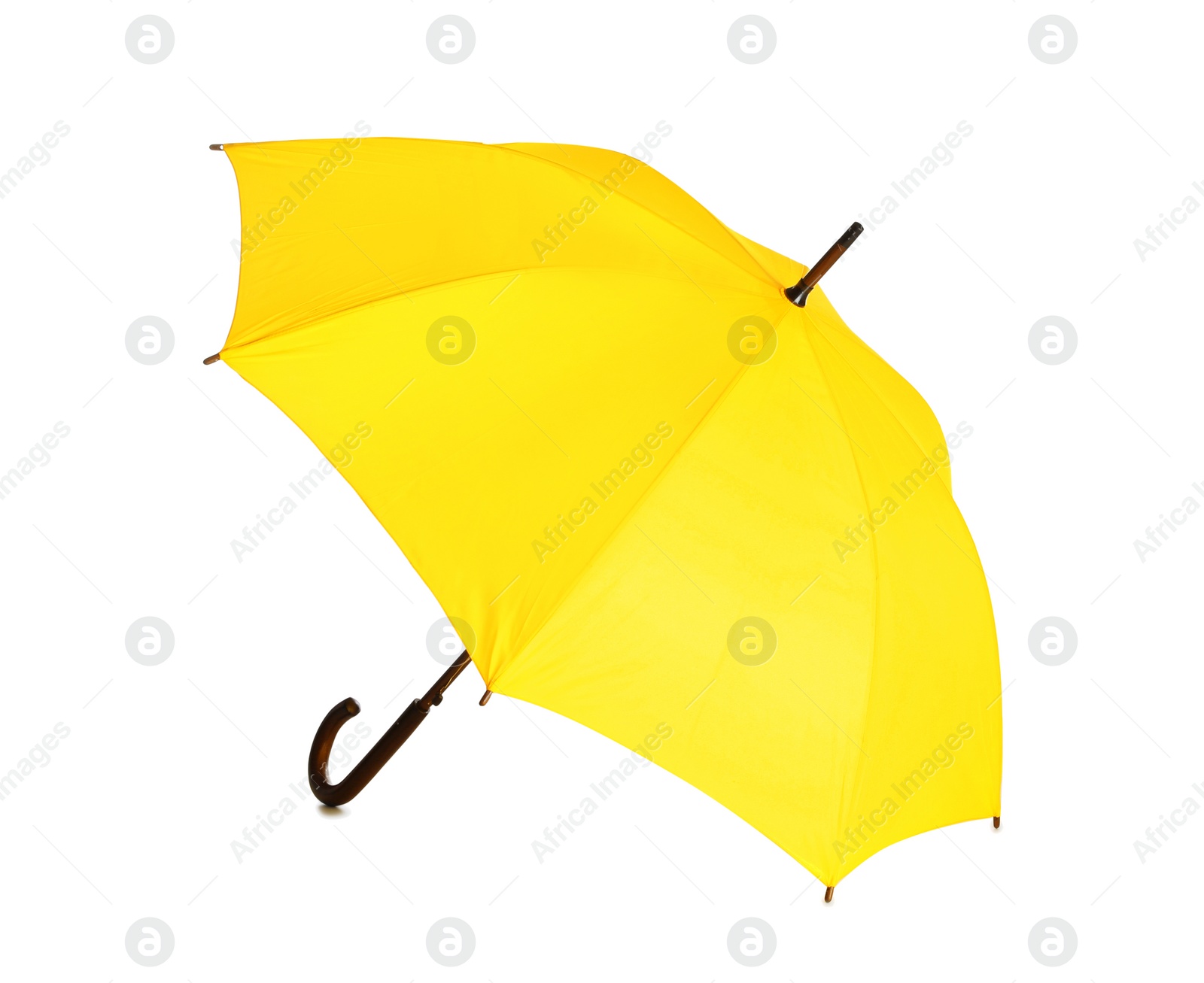 Photo of Beautiful open umbrella on white background