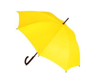 Beautiful open umbrella on white background