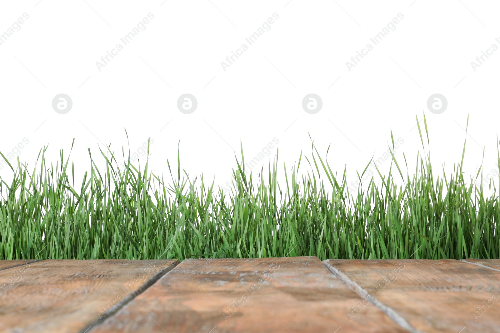 Photo of Wooden deck and green grass isolated on white