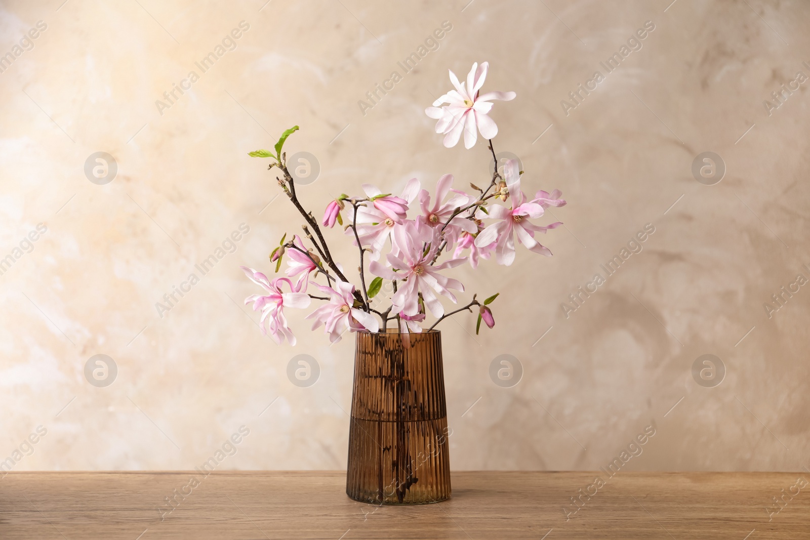 Photo of Magnolia tree branches with beautiful flowers in glass vase on wooden table against beige background