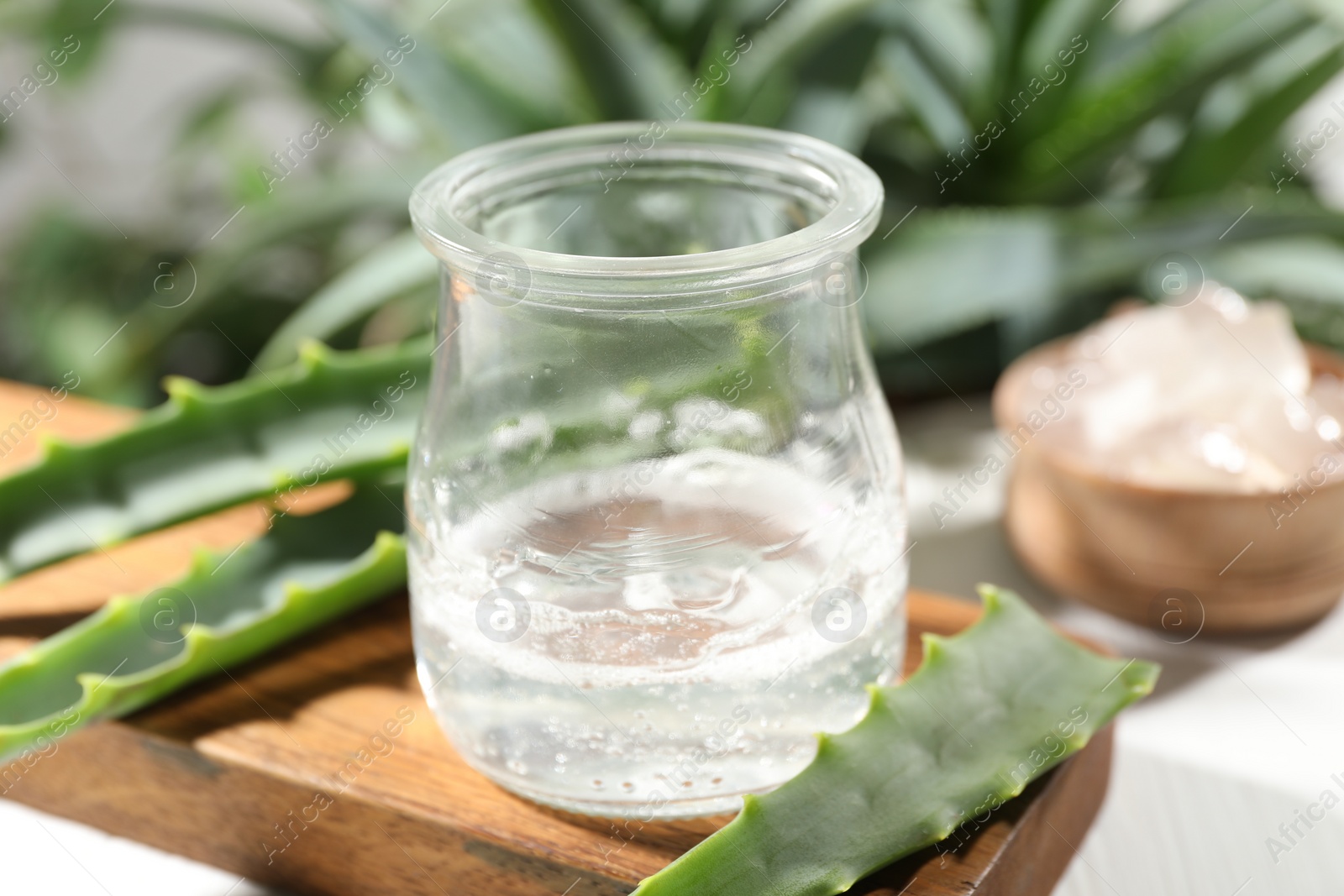 Photo of Aloe vera gel in jar and slices of plant on white table, closeup