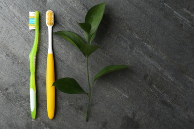Photo of Colorful plastic toothbrushes and green branch on grey table, flat lay. Space for text