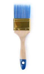 Paint brush with blue bristle on white background